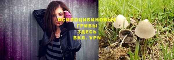ГАЛЛЮЦИНОГЕННЫЕ ГРИБЫ Елизово