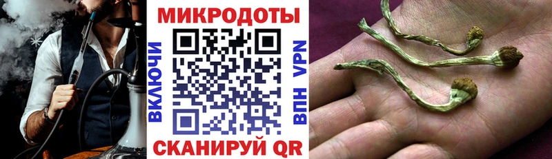 кракен как зайти  купить закладку  Камышлов  Псилоцибиновые грибы мухоморы 